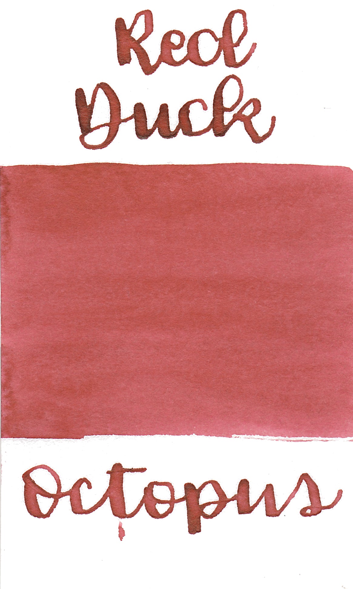 Octopus Write and Draw Ink 450 Red Duck