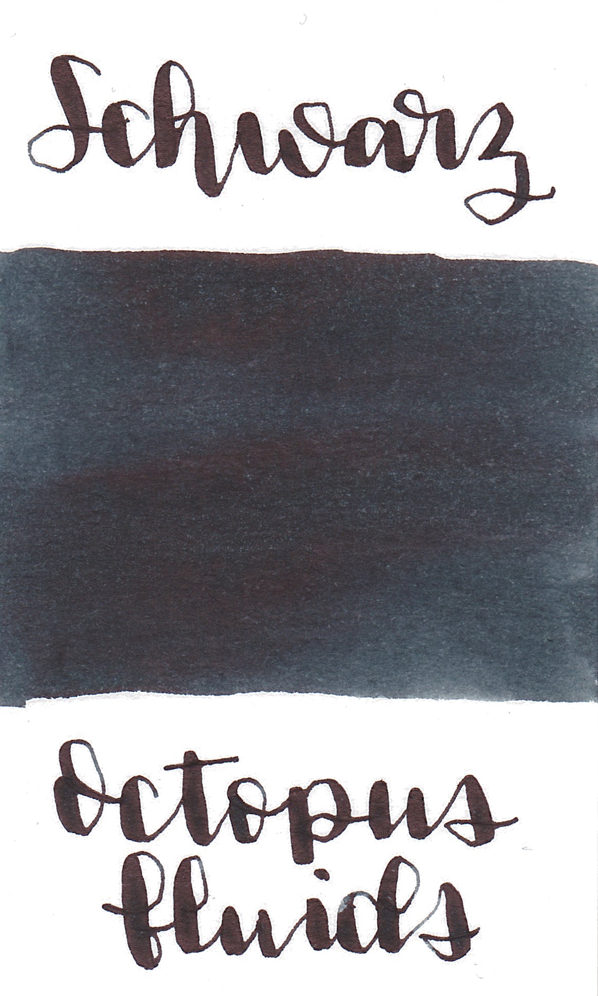 Octopus Schwarz (Black)