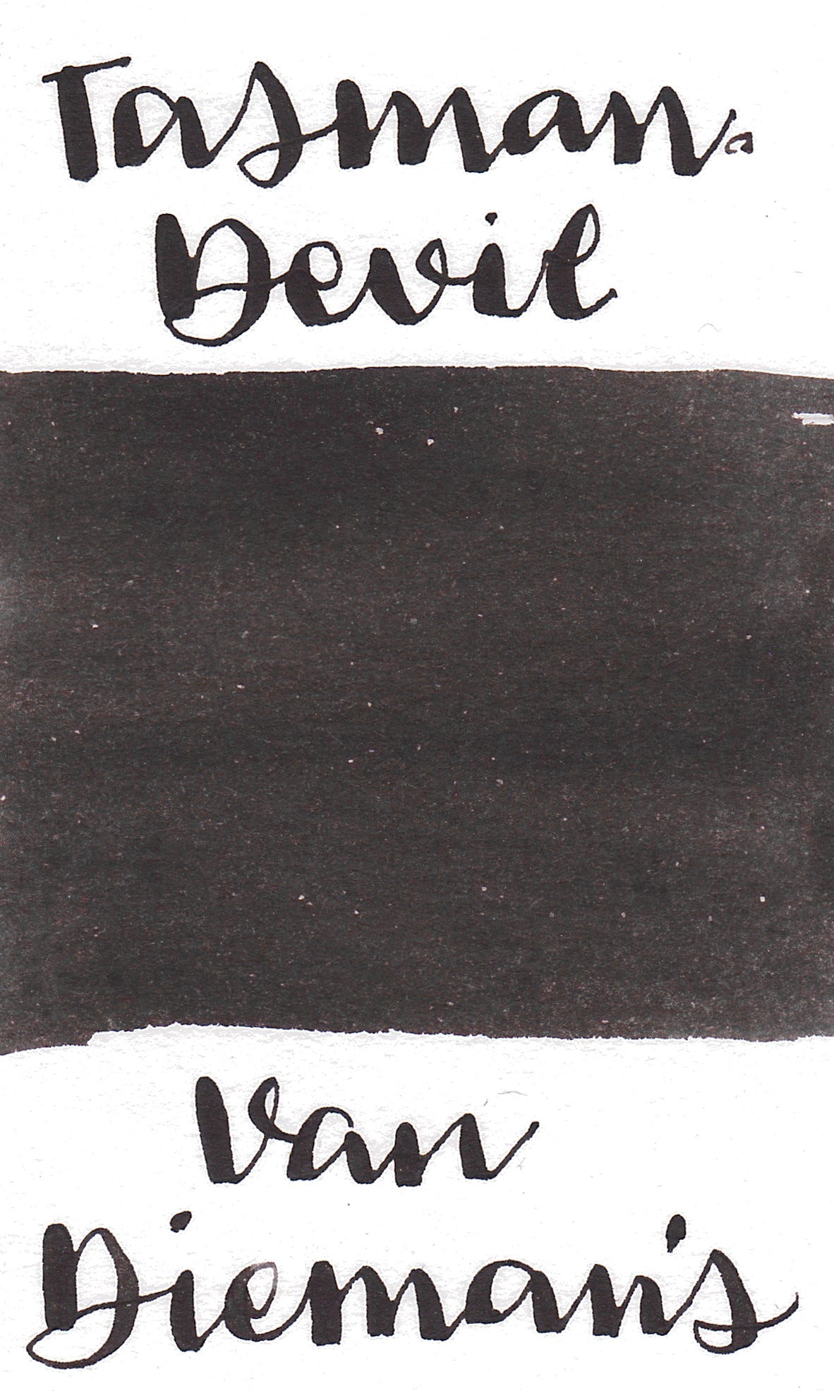 Van Dieman's Tasmania- Tasmanian Devil