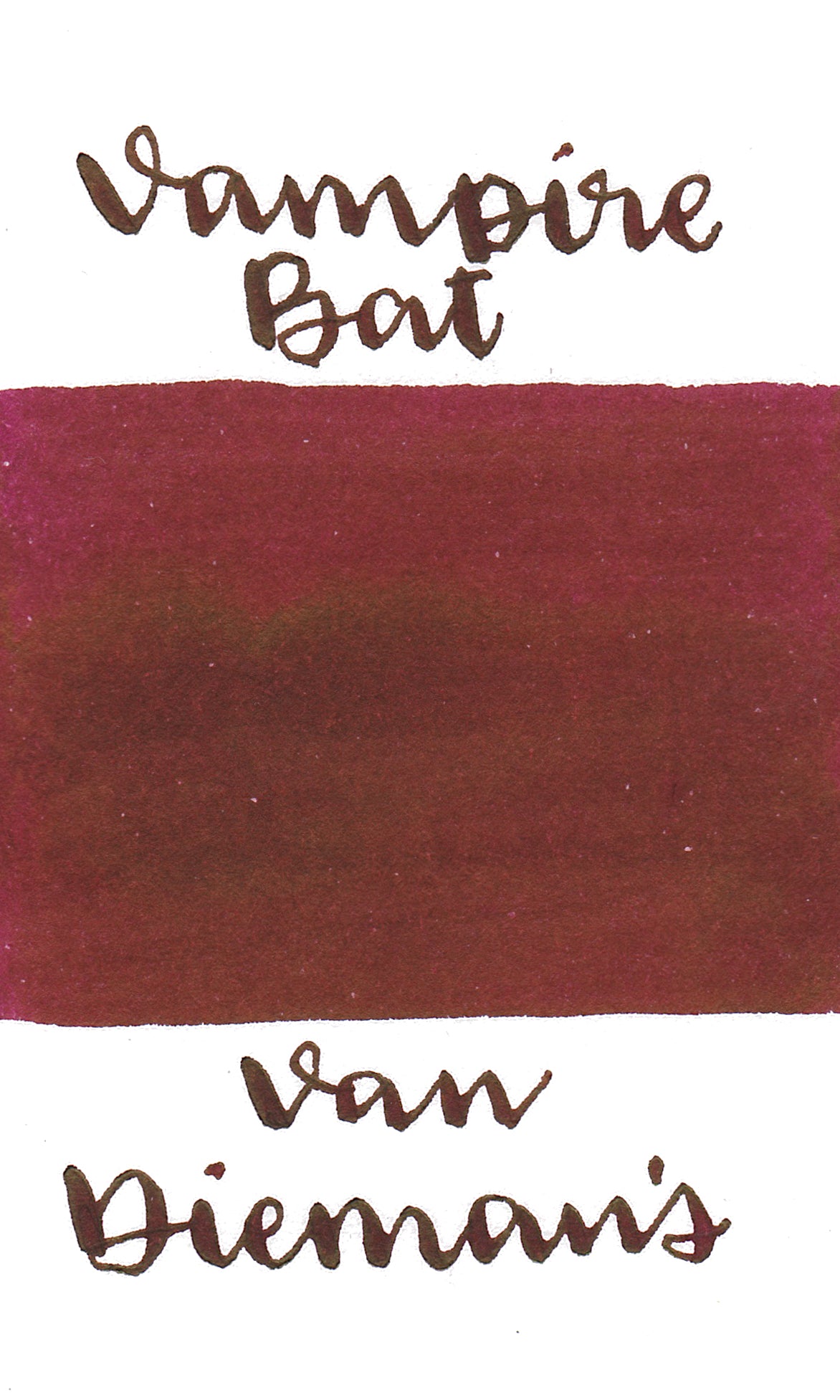 Van Dieman's Night Series- Vampire Bat