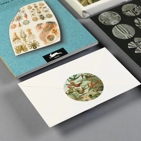 Pepin Label, Sticker & Tape Book - Art Forms In Nature