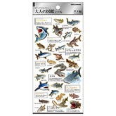 Kamio Illustrated Book Stickers - Sharks