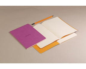 Rhodia Sewn Spine Rhodiarama A5 Notebook Taupe