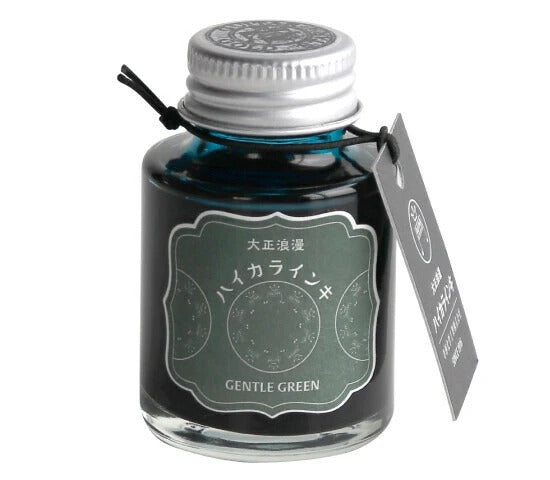Teranishi Guitar Ink - Gentle Green
