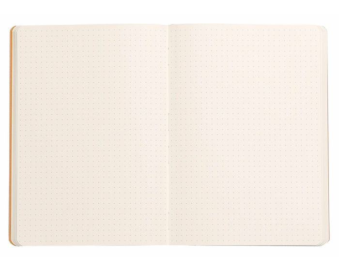 Rhodia Rhodiarama Webnotebook Softcover A5 - Sage