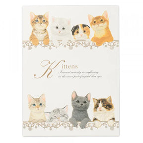 NB.CO - Kittens Letter Pad - A5