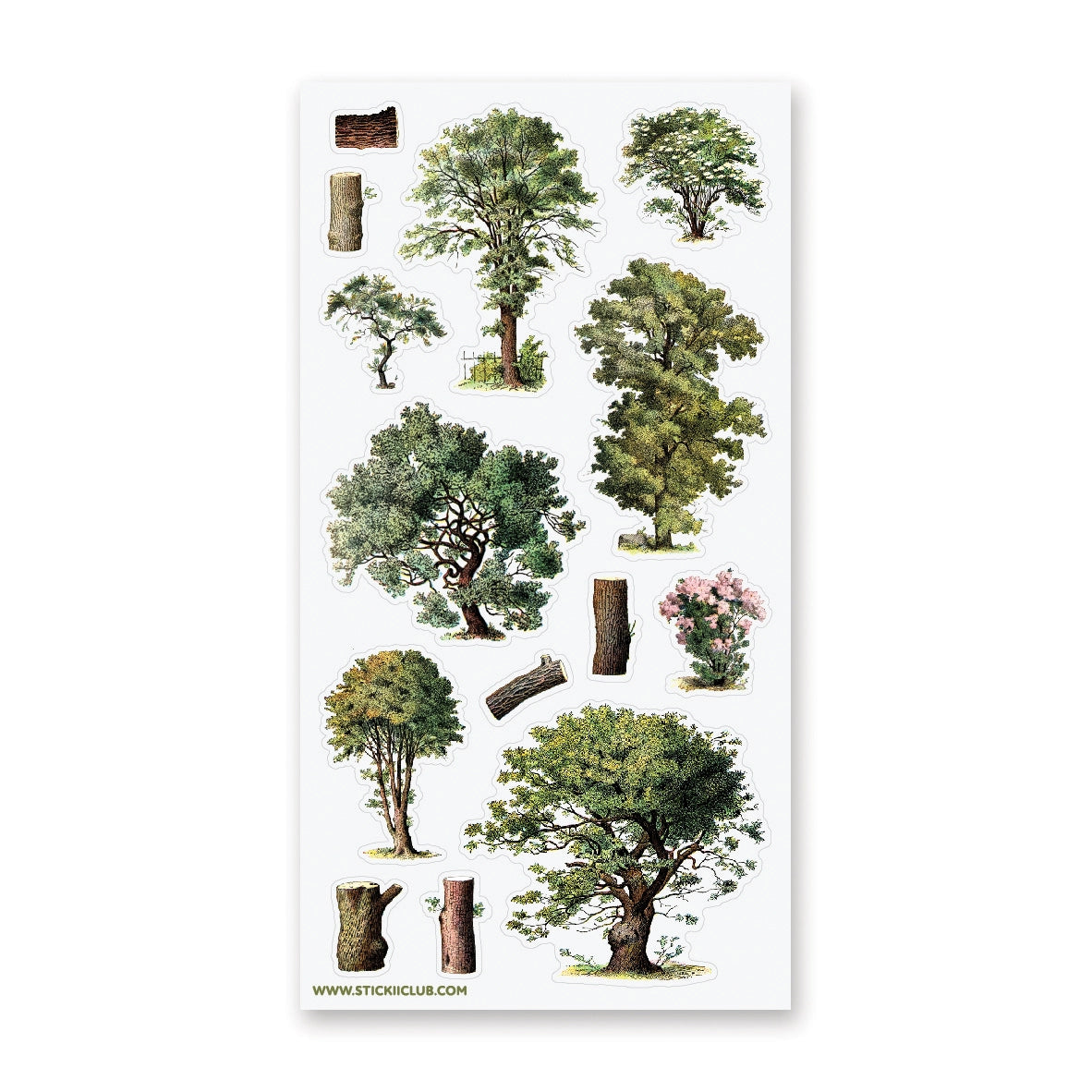STICKII Sticker Sheet - Ancient Trees