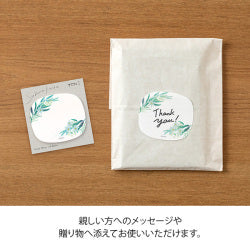 Midori Sticky Note Transparency - Leaves