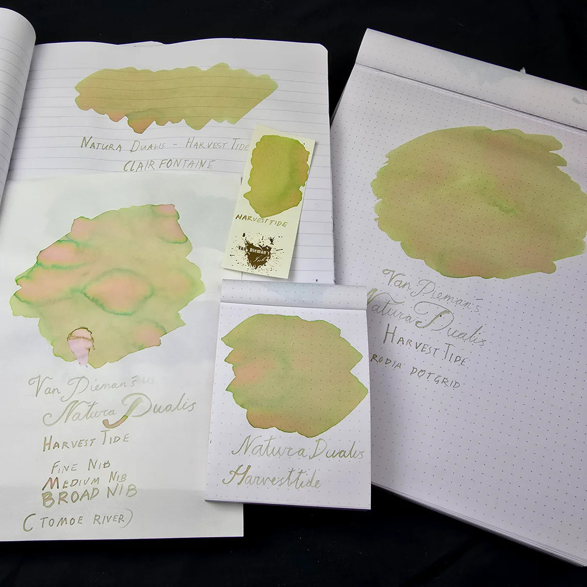 Van Dieman's Professional Natura Dualis - Harvest Tide Dual Tone Fountain Pen Ink