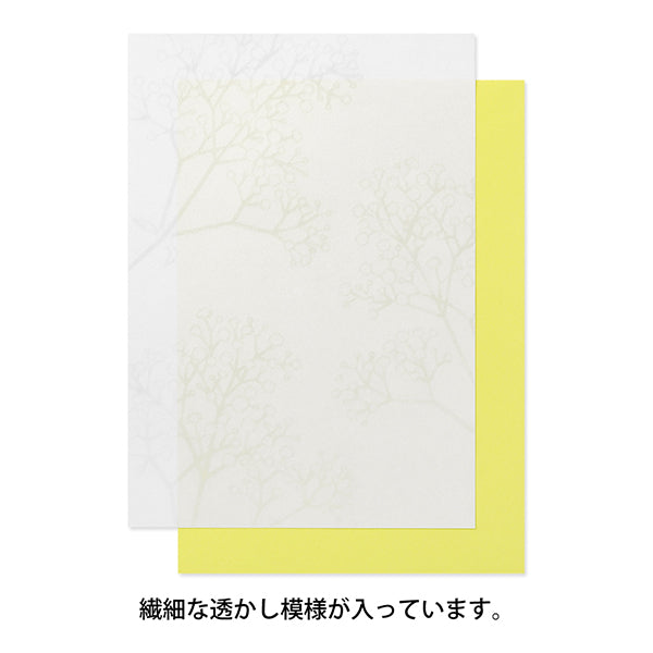 Midori Watermark Baby's Breath Pattern A5 Letter Paper