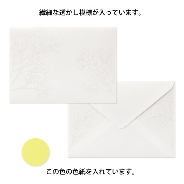 Midori Watermarks Baby's Breath Envelopes