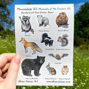 Allison Stoiser Art - Stickers - Mammalogy 101: Mammals of the Eastern US