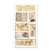 STICKII Sticker Sheet - Equine Sketchbooks