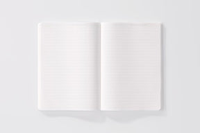 Stalogy 018 Notebook- 365 Day - Lined - A5