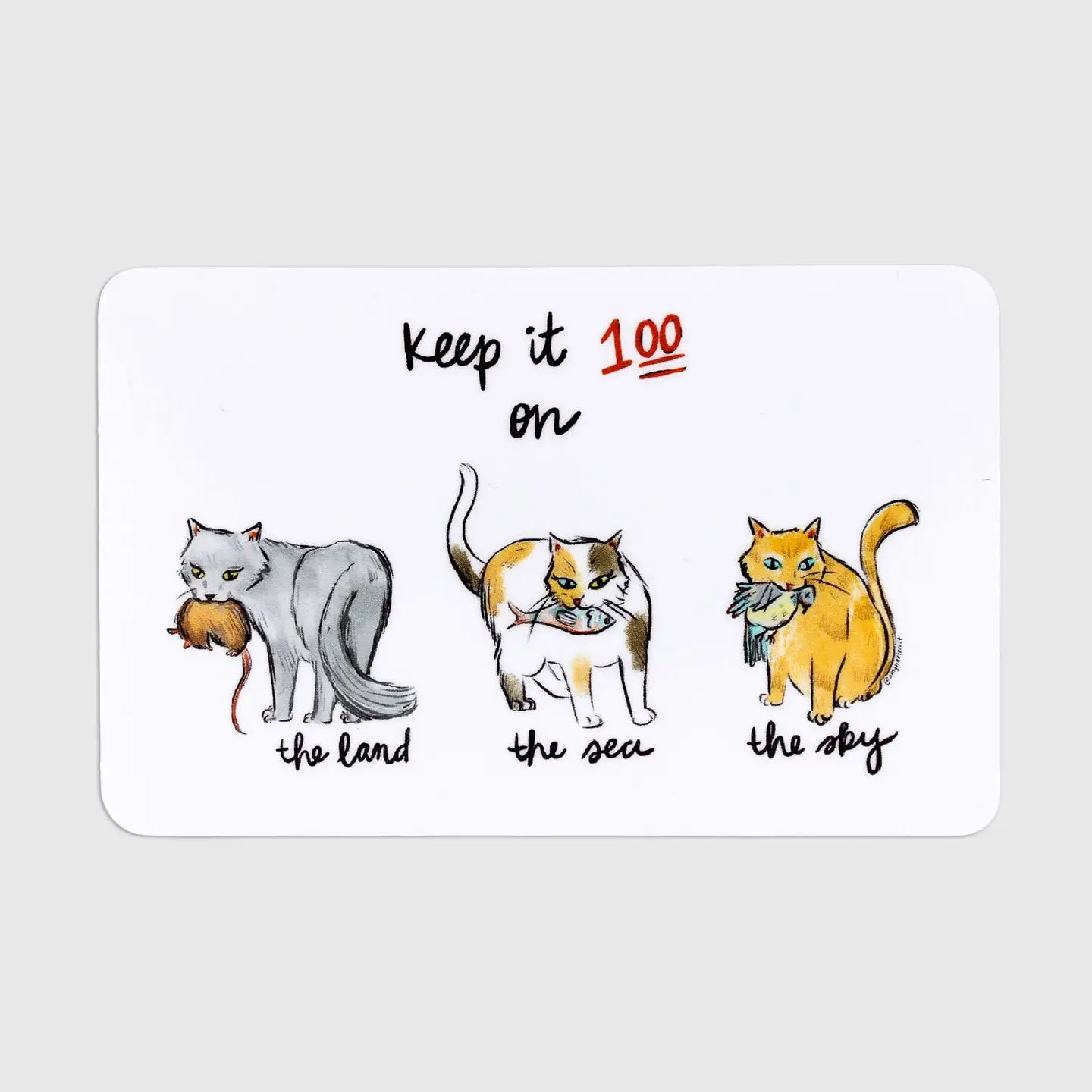 Amy Hartelust Art & Illustration - Vinyl Sticker - Keep It 100 Cats