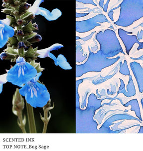 Dominant Industry - Twilight Garden Scented - Bog Sage (Top Note)