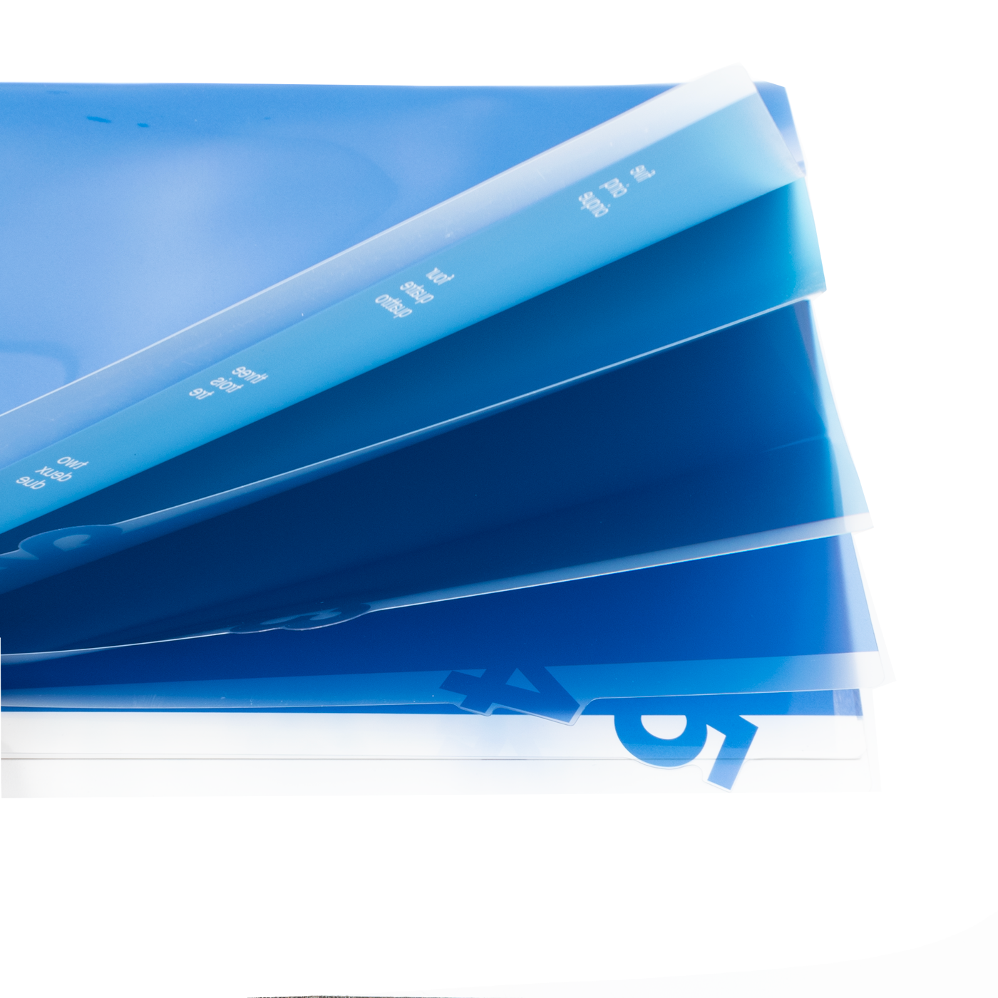 Midori 5 Pocket Clear Folder A4 - Blue