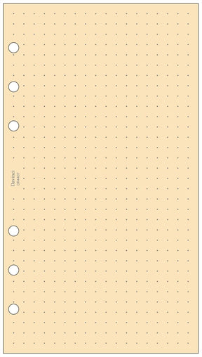 Raymay Davinci Note Bible Size Refill - Bamboo Paper 5mm Dot