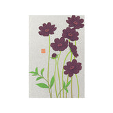 Midori -  Autumn Postcard Series Chocolate Cosmos