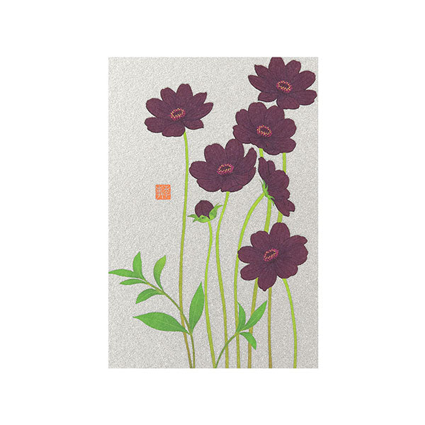 Midori -  Autumn Postcard Series Chocolate Cosmos