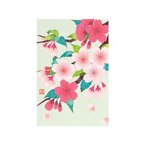 Midori - Postcard Spring Series S6