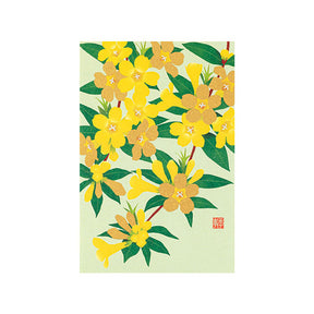 Midori - Postcard Spring Series S6