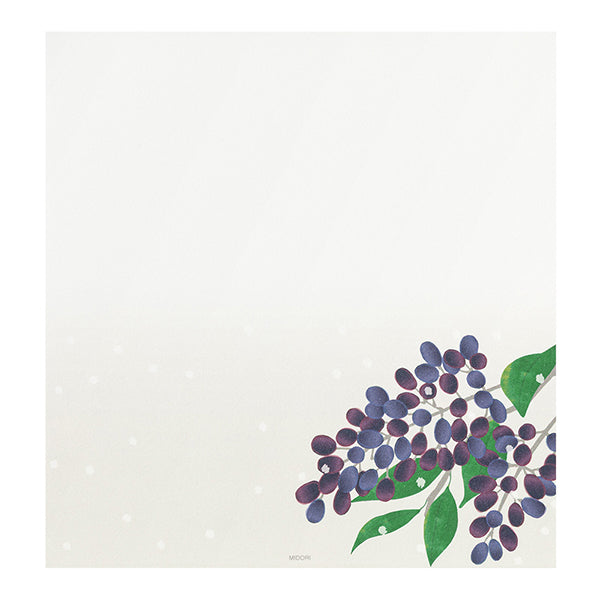 Midori Letter Pad 000 Four Designs Winter Fruit