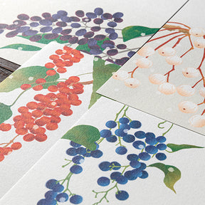 Midori Letter Pad 000 Four Designs Winter Fruit