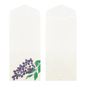 Midori Envelopes 001 Four Designs Winter Fruit