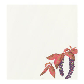 Midori Letter Pad - Four Designs Autumn Fruits 033