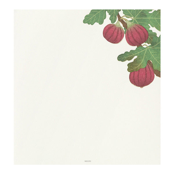Midori Letter Pad - Four Designs Autumn Fruits 033