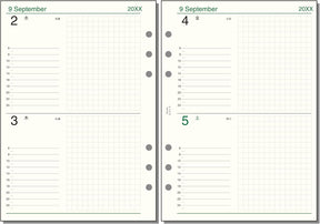 Raymay 2026 Davinci Note Refills A5 - Daily