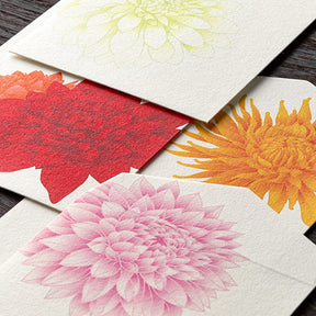 Midori Envelopes 142 Four Designs Dahlia