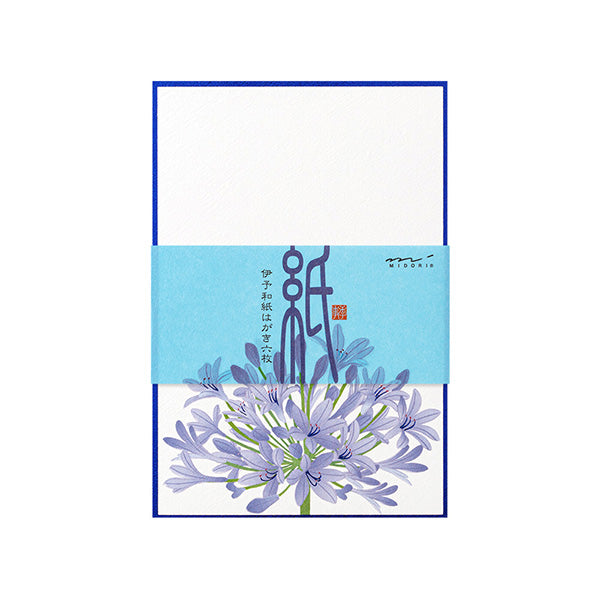 Midori Post Card 732 Foil Stamping Agapanthus