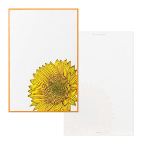 Midori Post Card 733 Foil Stamping Sunflower