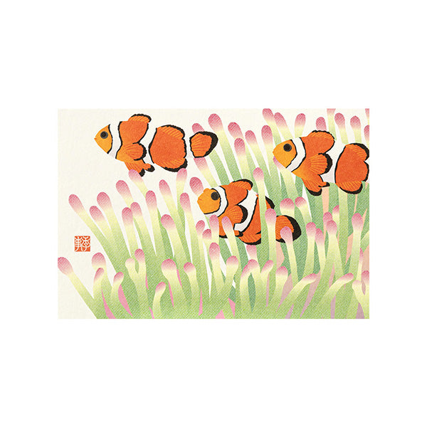 Midori - Postcard Clownfish Pattern