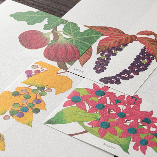 Midori Message Pad - Four Designs Autumn Fruit 609