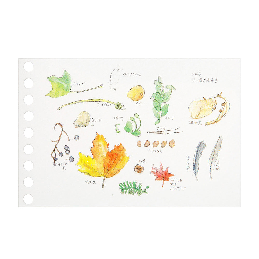 Maruman B7 Loose Leaf Mini - Drawing paper