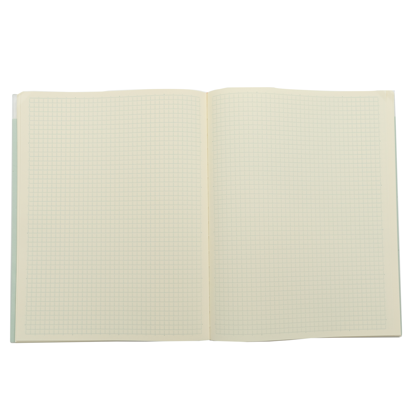 Midori MD Paper 2024 Notebook Diary- A4 Thin