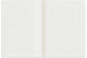 Wonderland222 Notebook B6 Grid 192 Page - Fiddlehead