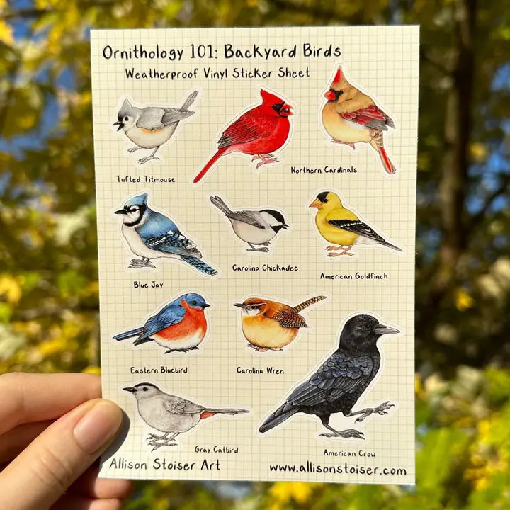 Allison Stoiser Art - Stickers - Ornithology 101: Backyard Birds