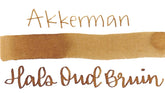 Akkerman Ink Dutch Masters 04 Hals Oud Bruin "Hals' Old Brown"