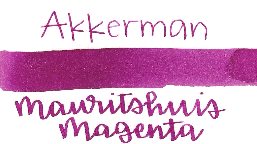 Akkerman 12 Mauritshuis Magenta