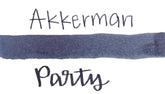 Akkerman Fountain Pen Ink The Hague: Business in the Front Party in the Back