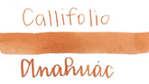 Callifolio Anahuac