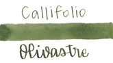 Callifolio Olivastre