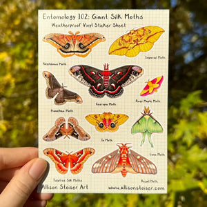 Allison Stoiser Art - Stickers - Entomology 102: Giant Silk Moths