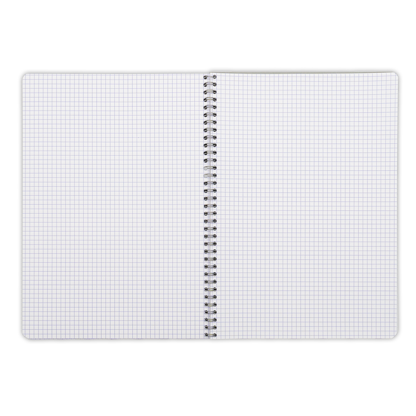 Clairefontaine Classics A4 Side Wirebound Notebook- Graph