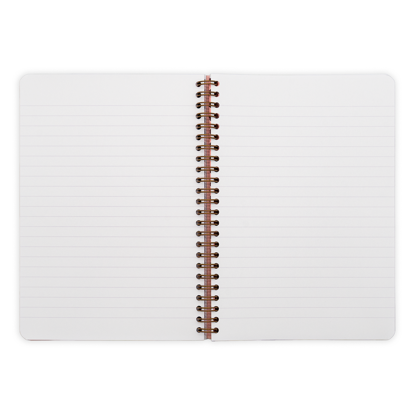 Clairefontaine Break The Rules Collection A5 Wirebound Notebook (60 Sheets) 4 assorted designs
