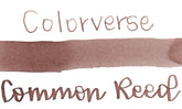 Colorverse Korea Wildflower Series Ink #73 Common Reed